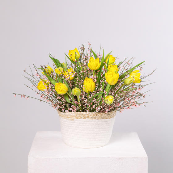 заказать букет Композиция с тюльпанами и генистой