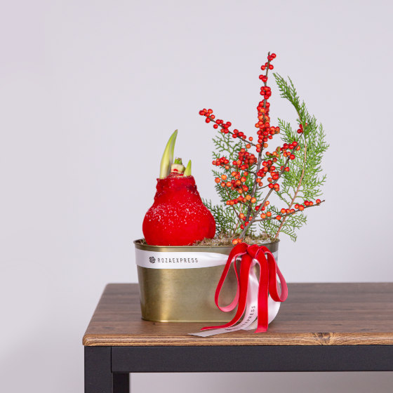 заказать букет Зимняя композиция 1