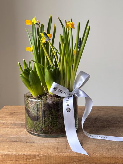 заказать букет Композиция c первоцветами в стеклянной вазе d 15